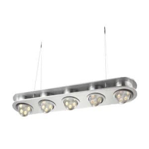 LED Rope Lighting (LPL111)