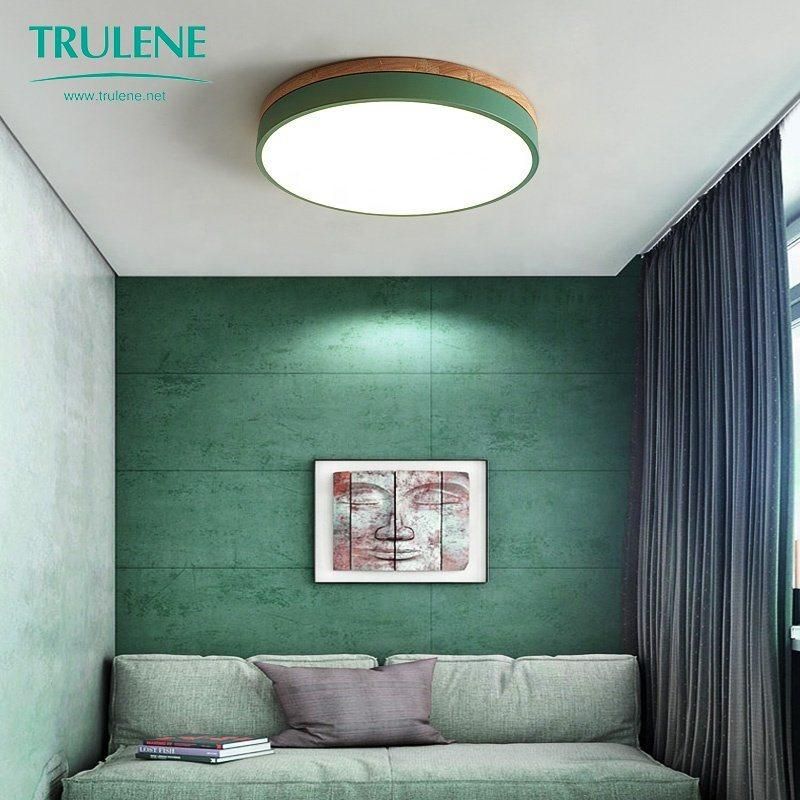 LED Dimmable Ceiling Light LED Modern Decorative Ceiling Lights