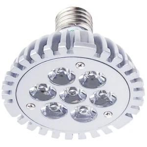 Br30 Shape Light Bulb (GP-007AWP)