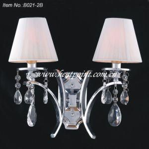 Wall Lamp/ Light (HP021-2B)