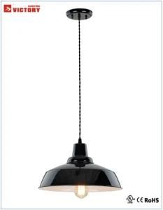 Industrial Design Iron Zinc Alloy Black Hanging Pendant Lamp (H-3730S)