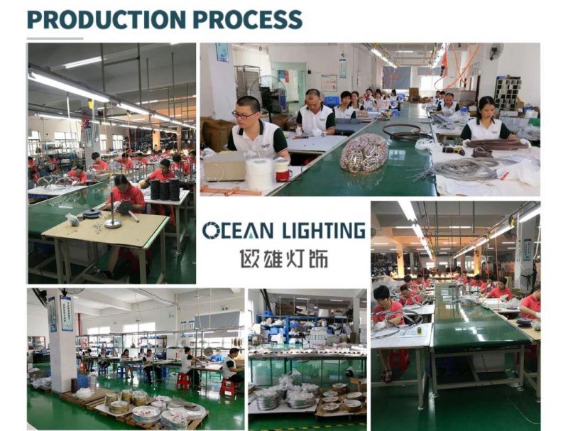 Zhongshan Oceanlamp Modern LED Chandelier Lighting Om82098 L200*H30cm
