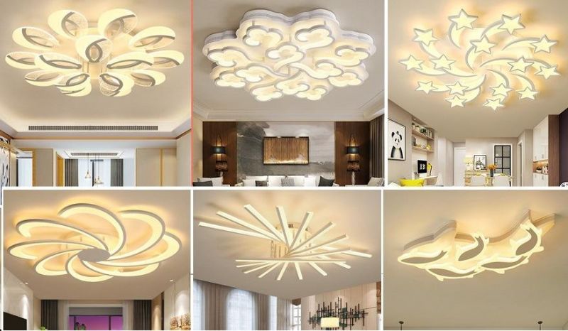 Modern Simple Decorative Acrylic LED Ceiling Lamp Light/Lamp Zf-Cl-025