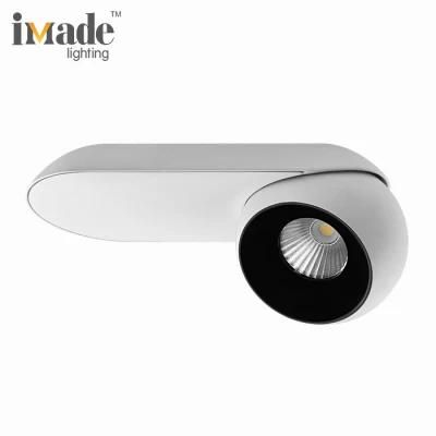 13.9W 20.4W Restaurant Living Room Decorative Indoor Adjustable Surface Mounted LED Ceilinglight