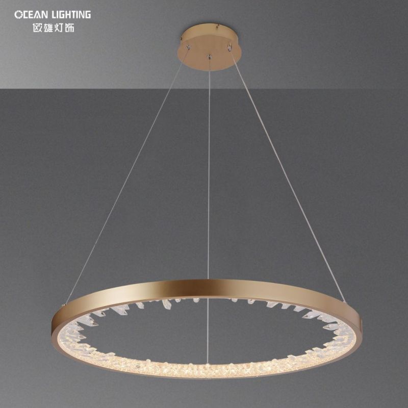 Modern Aluminum Acrylic Iron Pendant Light Indoor Decorative Lighting for Home Hotel Villa