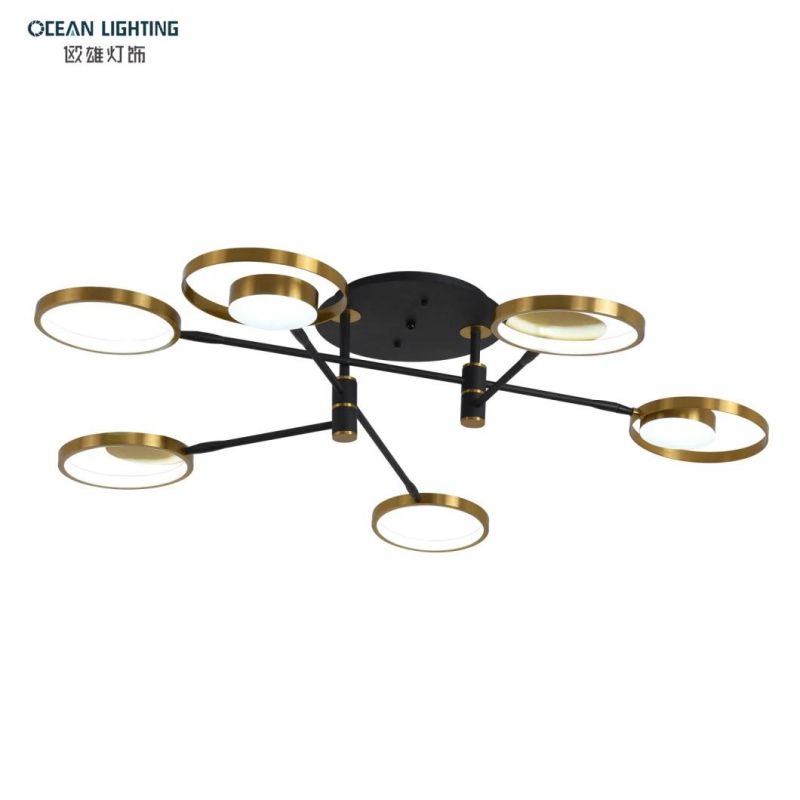 Ceiling Lighting Lamp Fancy Ceiling Lights Modern Ceiling Lamp