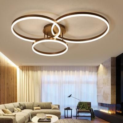 Drop Black Ceiling Light Panels Ring Ceiling Lamp for Indoor Home Lighting (WH-MA-95)