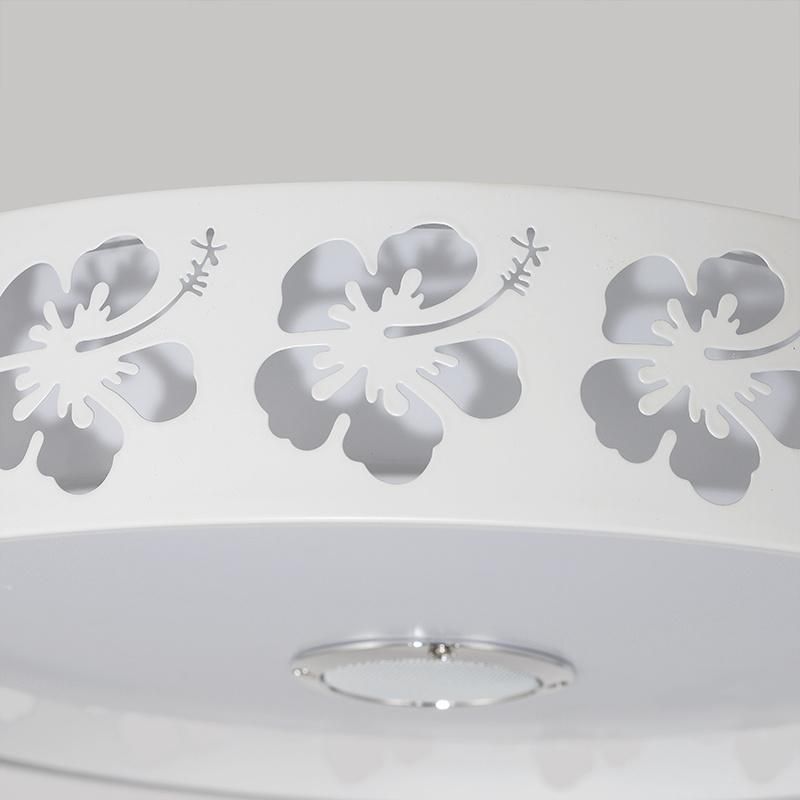 Bluetooth LED Lamp Ceiling with Loundspeaker for Bedroom Dimming LED Ceiling Lights (WH-MA-46)