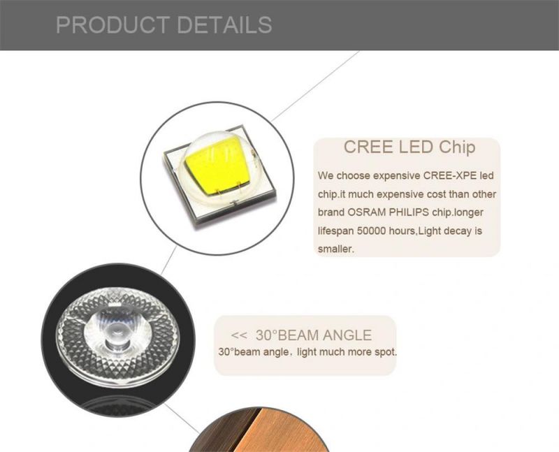 LED Wall Light Night Reading Book Lamp Bed Headboard Lights for Hotel Artistic Bedside Lamp Push Switch CREE Chip 220V
