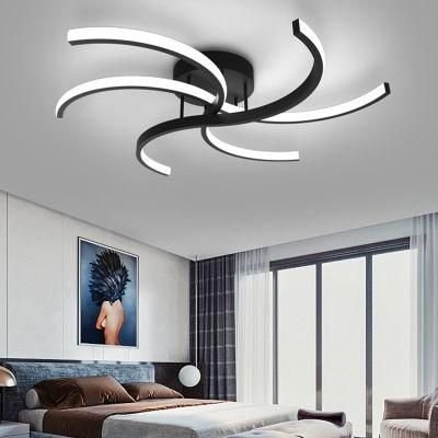 Simple Modern Living Room Lamp Personality LED Ceiling Light Dedroom Lamp