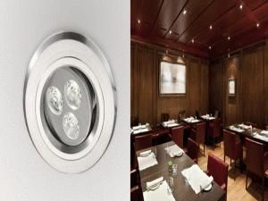 LED Ceiling Downlight (LDC801B)