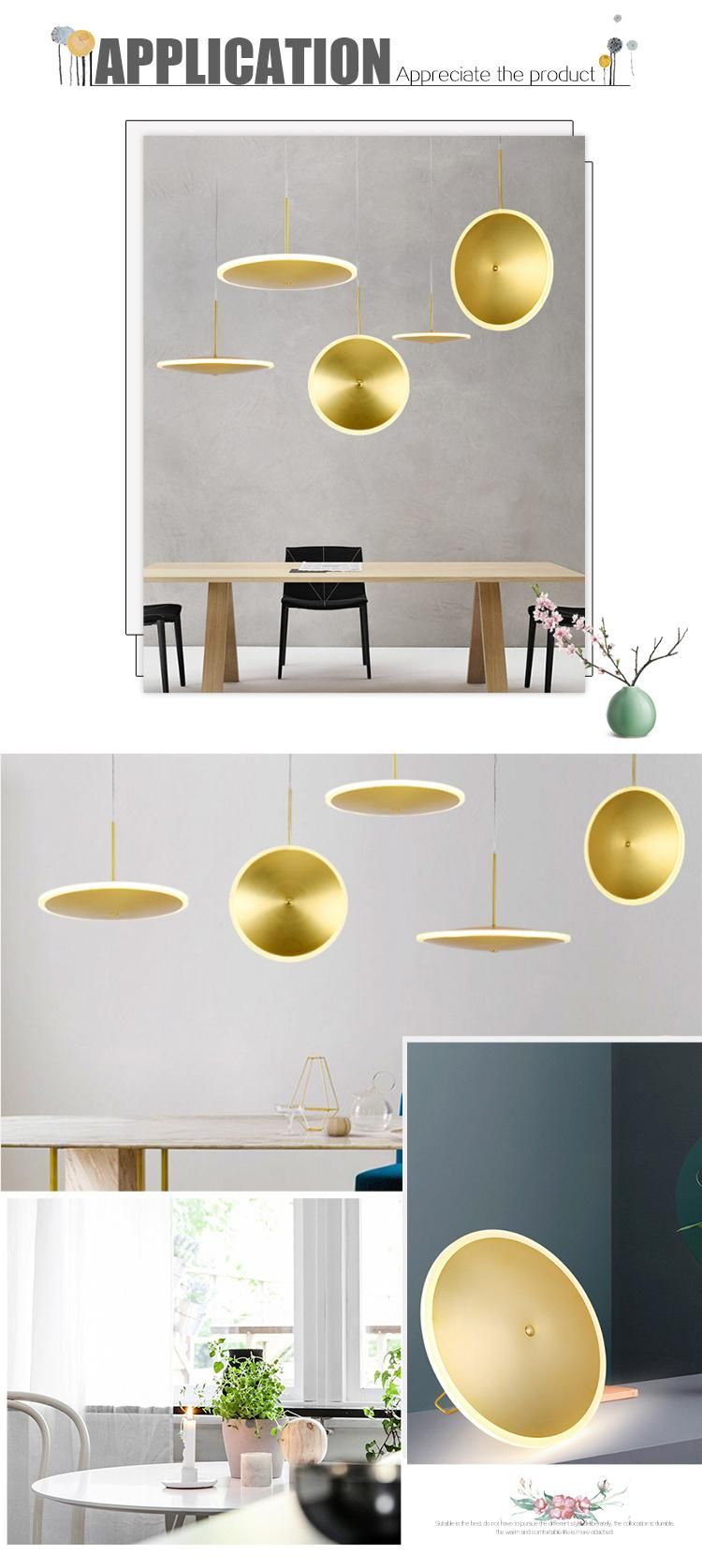 Dlss Lighting Acrylic Modern LED Pendant Lamp