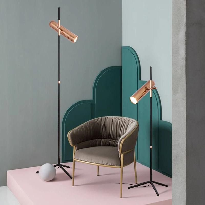 Post-Modern LED Tripod Floor Lamp Creative Living Room Study Bedroom Floor Lamp (WH-MFL-52)