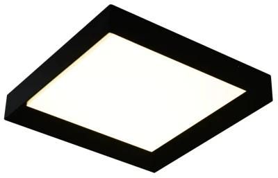 Modern Simple Indoor Ceiling Light with LED Lighting