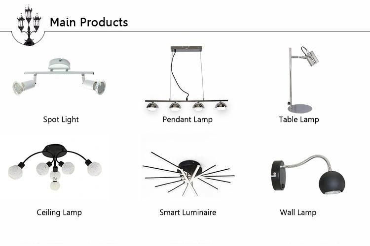 Surface Mounted Flexible Lighting LED Black Golden Room Market Iron Adjustable Hose Wall Mounted Spot Lamp Light