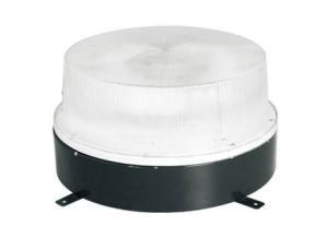 Induction Lamp Ceiling Light (NLOW-XD0502A)
