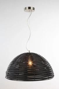 Pendant Lamp (KM-P15)