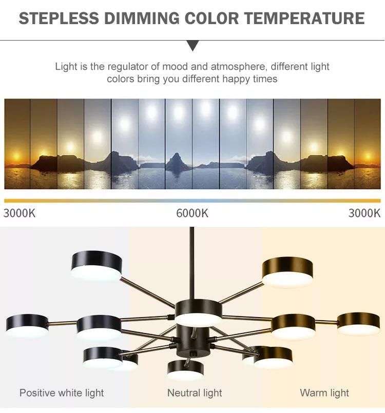 Designer Postmodern Pure Black Iron Aluminum Living Room Dining LED Chandelier Pendant Light