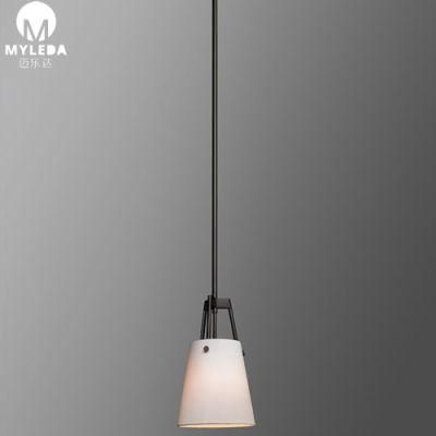 Modern Home Decor Luxury Hanging Single Pendant Light