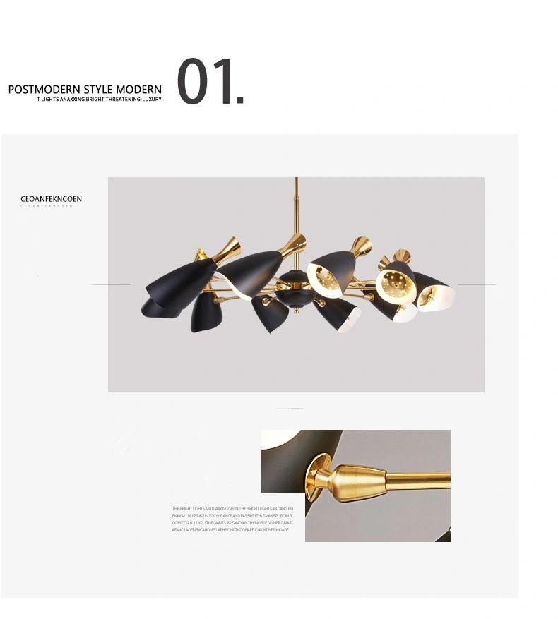 Modern Black Pendulum Pendant Lights for Indoor Kitchen Dining Room (WH-AP-49)