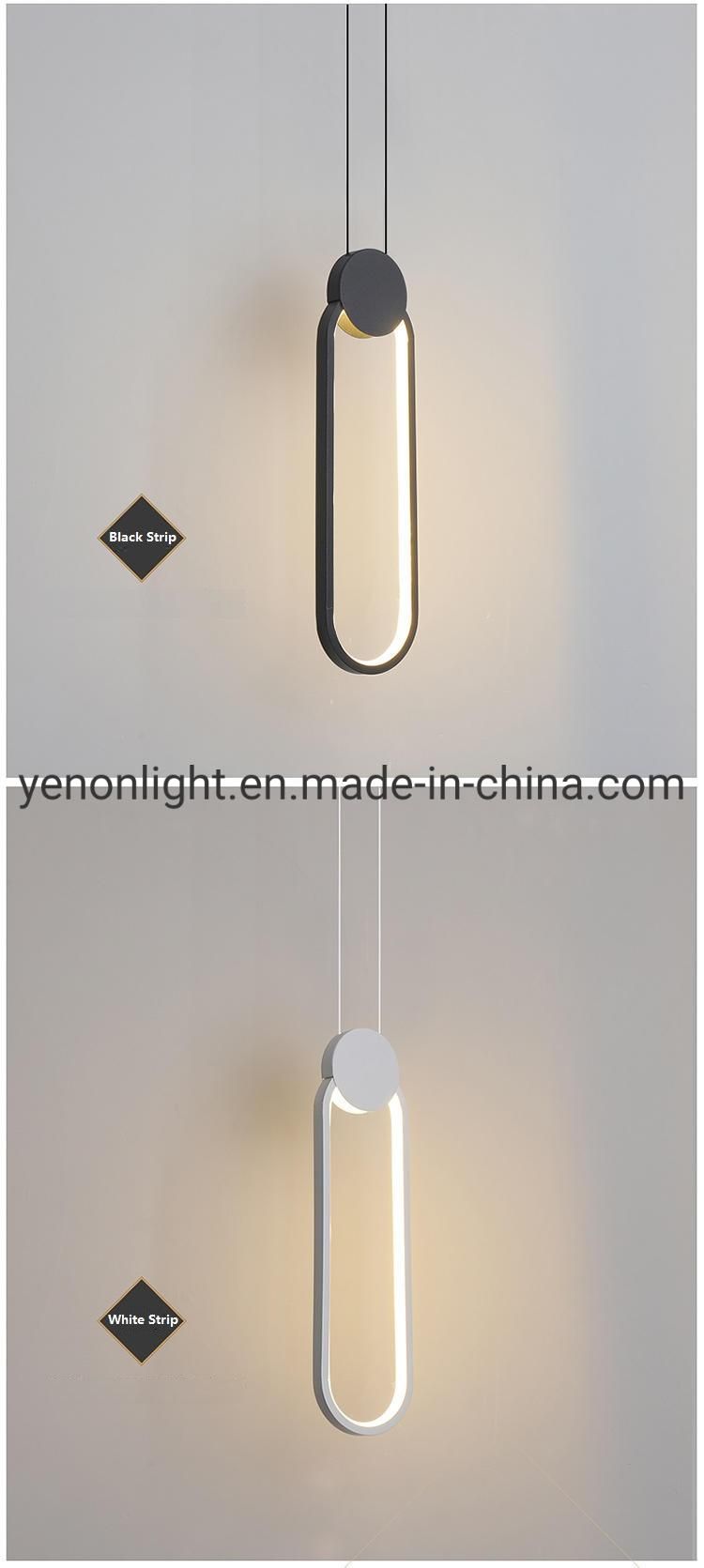 Home Decoration Iron Pendent Lamp Drop Lighting Suspension Light