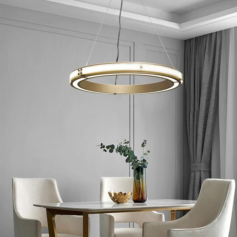Circle Modern Style Simple Design Pendant Lamp Chandelier Living Room Lamp