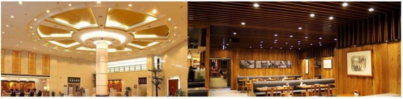 Wholesale Price 7W-35W Deep Cup Anti Glare Ceiling LED Downlight