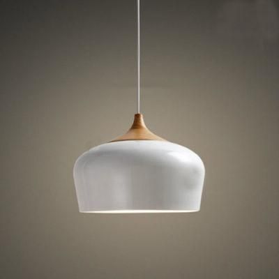 Modern Style Pendant Lamp for Restaurant Hanging Decoration Light