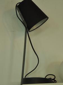 Spray Paint Modern Style Table Lamp with Elc Parts in Different Colors