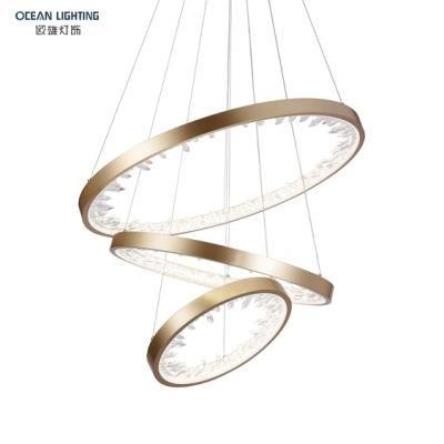 Modern Indoor Decorative Pendant Lighting Aluminum Iron Acrylic Pendant Lamp for Home Hotel
