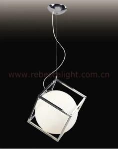 Modern Pendant Light (HZ02106)