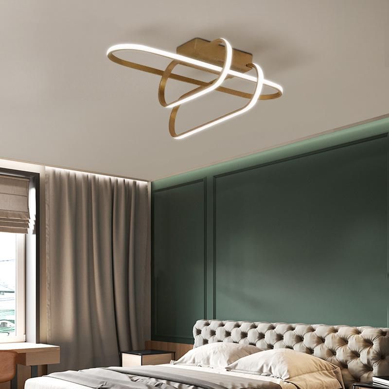 Modern Nordic Style LED Chandelier Interior Decoration Lamp Ceiling Light