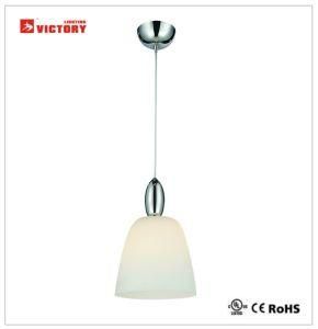 Modern Glass Indoor Chandelier Pendant Lamp