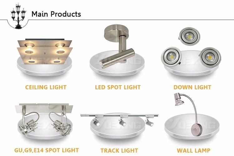 LED Max50W Hanging Light Chrome Mini Iron Chandelier Light