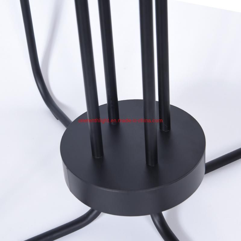 Stainless Steel Body and Shade in Matt Black Finish Floor Lamp