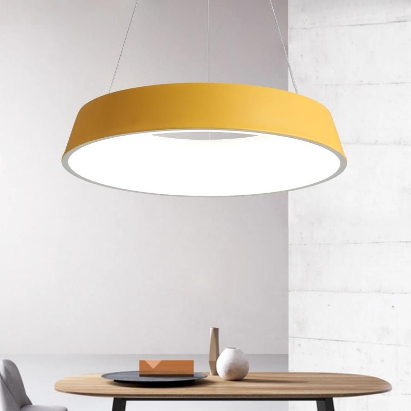 Multi Coloured Pendant Lights for Indoor Home Lighting Fixtures (WH-AP-38)