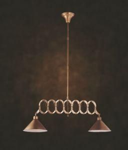 New Style Copper Pendant Lamp (N10011-2)