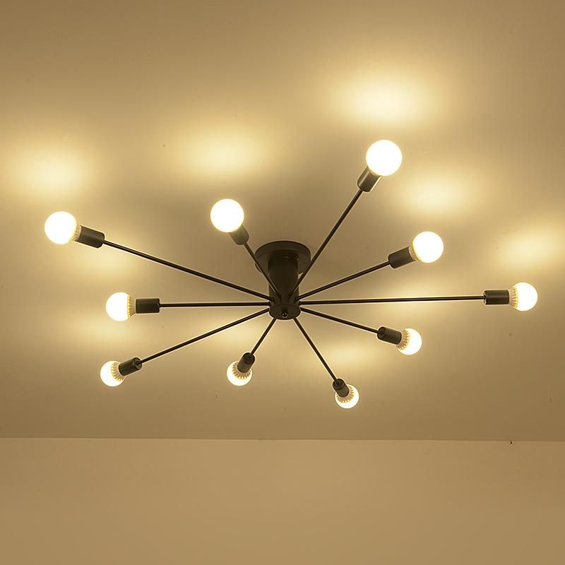Rustic Industrial Ceiling Lighting for Indoor Home Ceiling Decoaration (WH-LA-15)