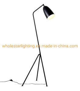 Metal Floor Lamp (WHF-889)