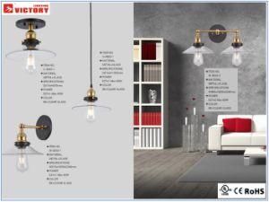 Modern New Design Interior Popular Hanging Lamp Chandelier Ce UL