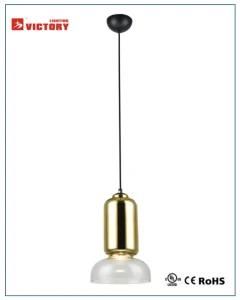 Hot Selling New Design Decorative Hotel Use Pendant Light