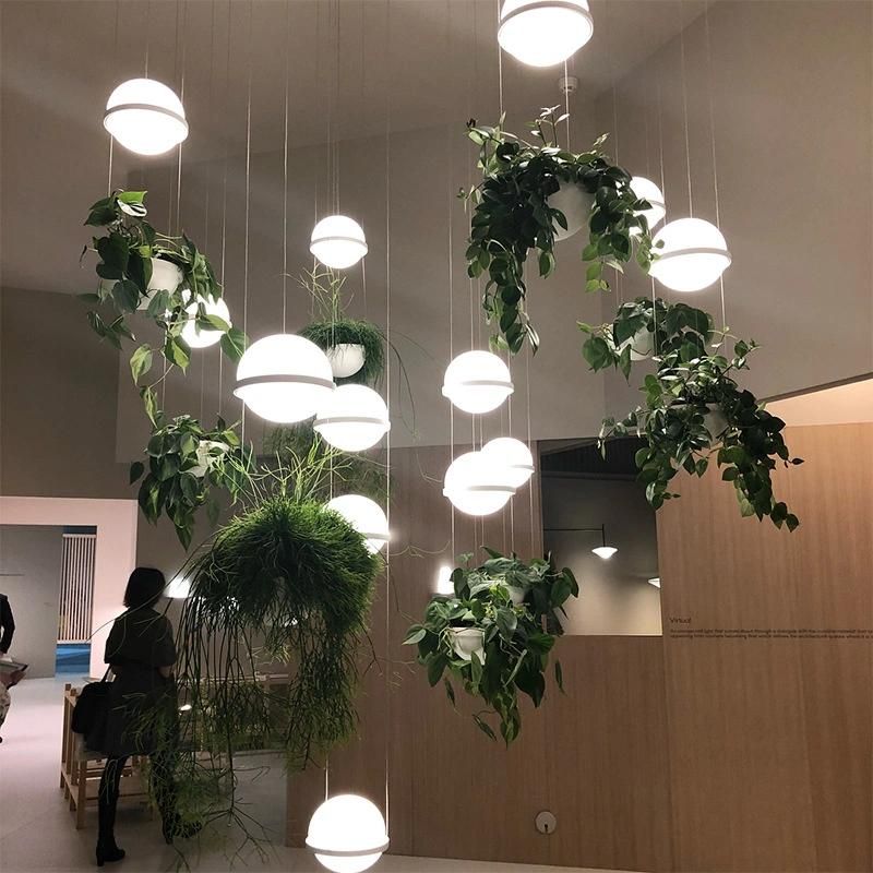 LED Plant Pendant Light Glass Ball Lamp Creative Art Pendant Lamp Country Restaurant Cafe Bar Suspension Lamp (WH-AP-125)