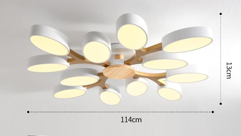 Modern Ceiling Lights Black White Corridor Bedroom Kitchen Office Lamp (WH-WA-29)