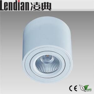 10W LED Downlight COB