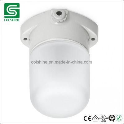 Colshine E27 Waterproof Wall Lamp Ceiling Sauna Lamp for Russia