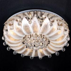 Elegent Modern Ceiling Light 7205-16