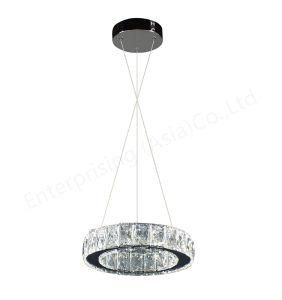 Modern Home/Hotel Decor LED Pendant Light