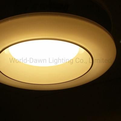 2 Years Warranty LED Dimmable Down Light with Remote Controller 7W/10W/15W/20W/30W Aluminium COB Downlight