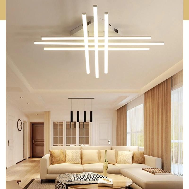 Nordic Postmodern Simple Personality LED Ceiling Light Hall Bedroom Black and White Lamp