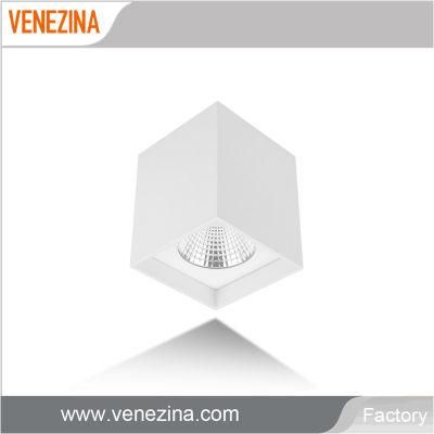 C6024 Downlight Spot Lighting Mounted Surface Ceiling Light